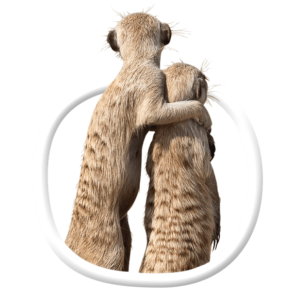 Детский сад