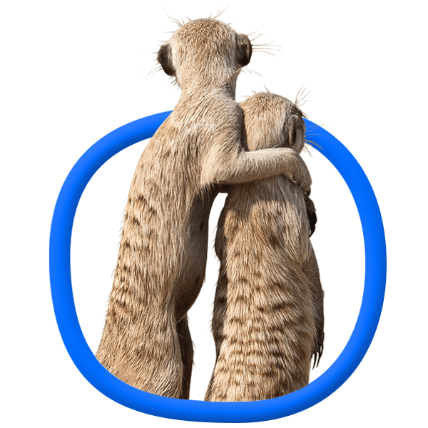 Детский сад